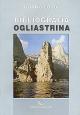 Bibliografia Ogliastrina Fuori Collana
